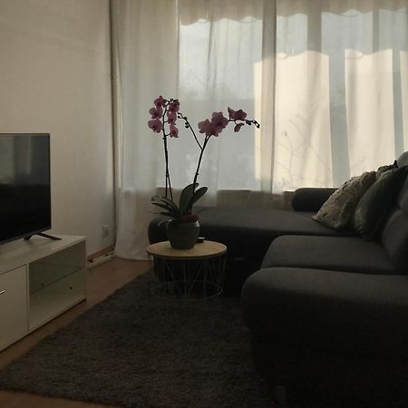 Bel Appartement Near Bale Mulhouse Airport แซ็ง-ลุยส์ ภายนอก รูปภาพ
