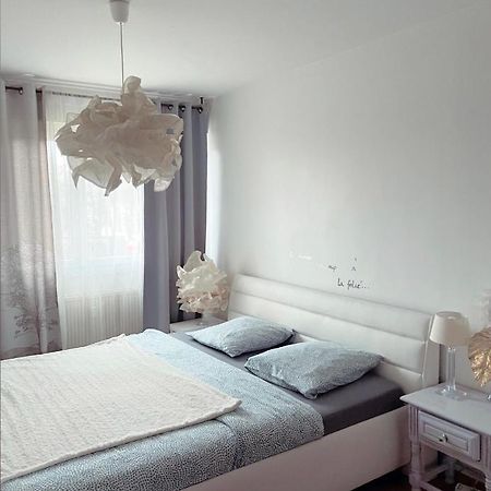 Bel Appartement Near Bale Mulhouse Airport แซ็ง-ลุยส์ ภายนอก รูปภาพ