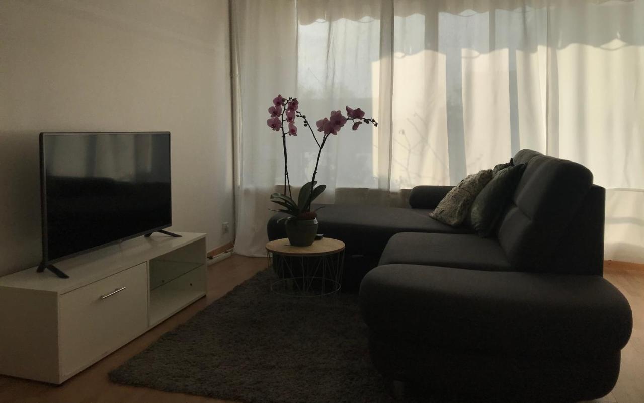 Bel Appartement Near Bale Mulhouse Airport แซ็ง-ลุยส์ ภายนอก รูปภาพ