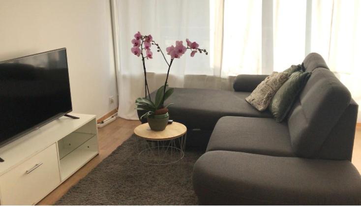 Bel Appartement Near Bale Mulhouse Airport แซ็ง-ลุยส์ ภายนอก รูปภาพ