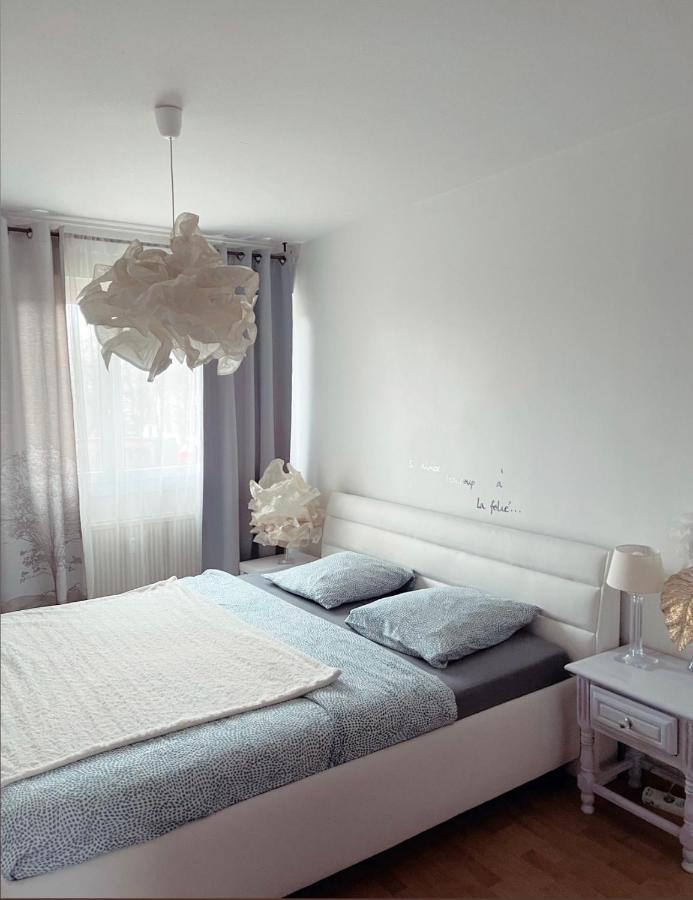 Bel Appartement Near Bale Mulhouse Airport แซ็ง-ลุยส์ ภายนอก รูปภาพ
