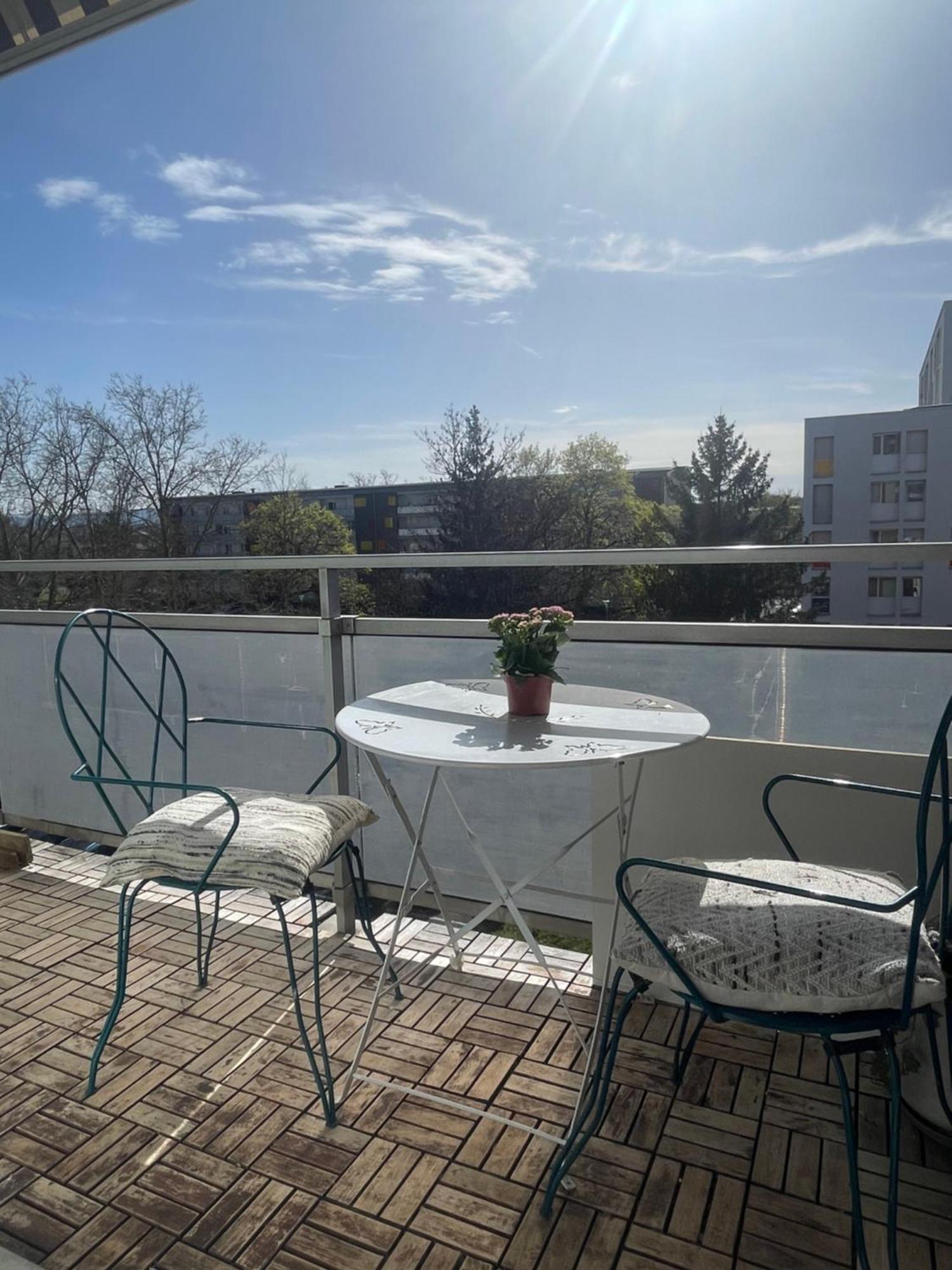 Bel Appartement Near Bale Mulhouse Airport แซ็ง-ลุยส์ ภายนอก รูปภาพ