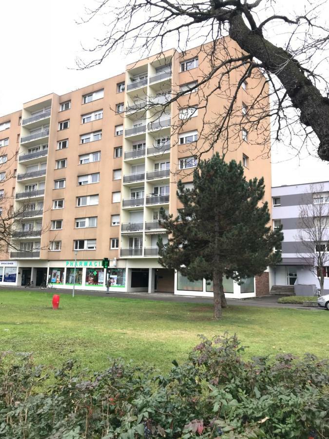 Bel Appartement Near Bale Mulhouse Airport แซ็ง-ลุยส์ ภายนอก รูปภาพ