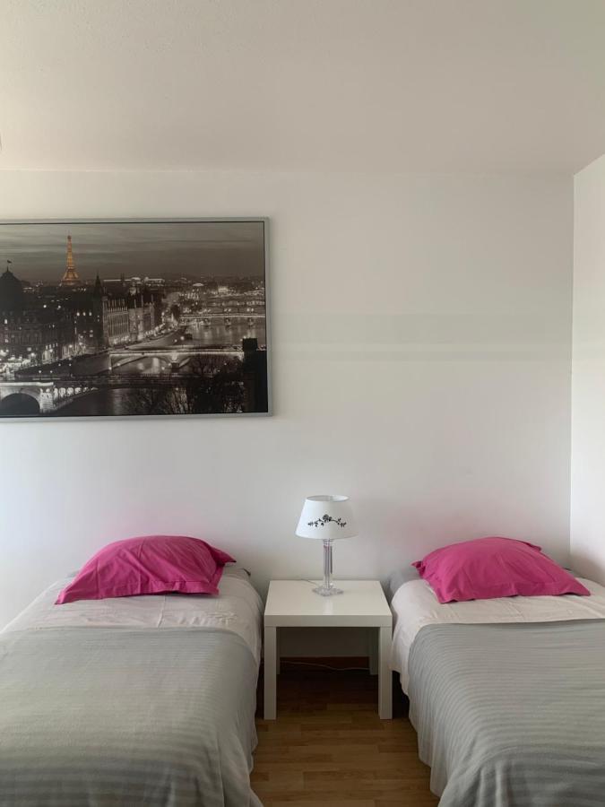 Bel Appartement Near Bale Mulhouse Airport แซ็ง-ลุยส์ ภายนอก รูปภาพ